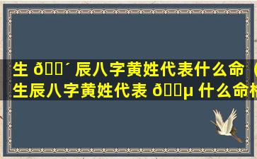 生 🐴 辰八字黄姓代表什么命（生辰八字黄姓代表 🐵 什么命格）